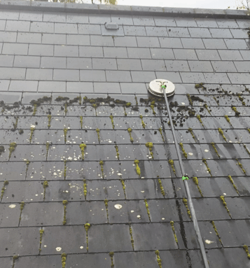 Cleaning Roofs