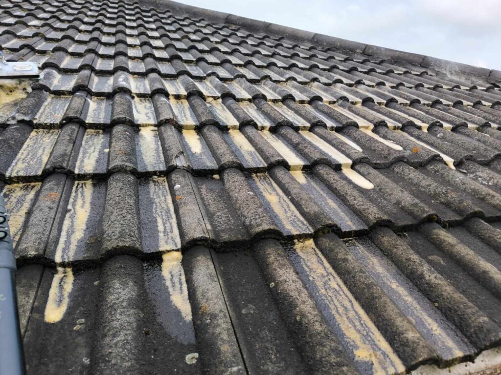 applying biocide on roof