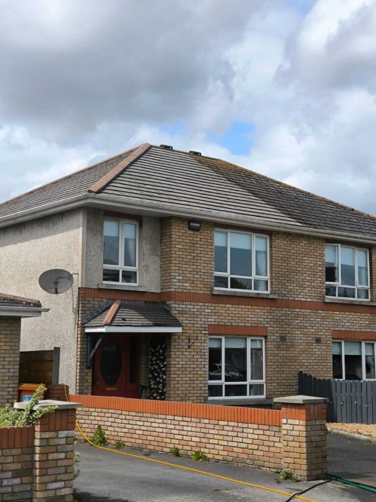 roof cleaning service